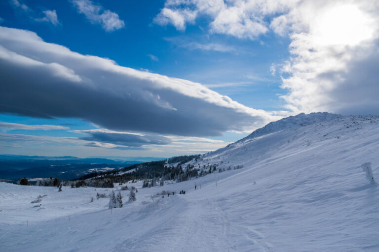 Vitosha Mountain