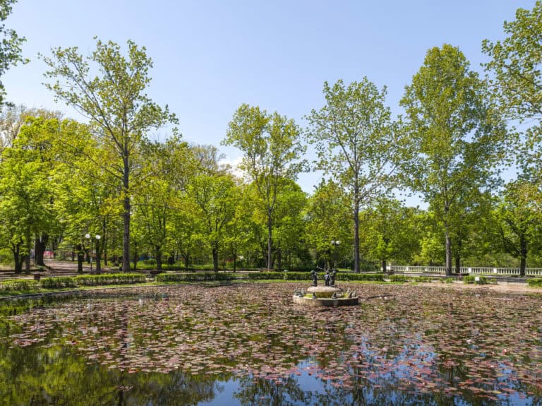 Borisova Garden