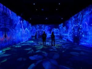 מוזיאון VIDENIE Immersive Art Space בסופיה