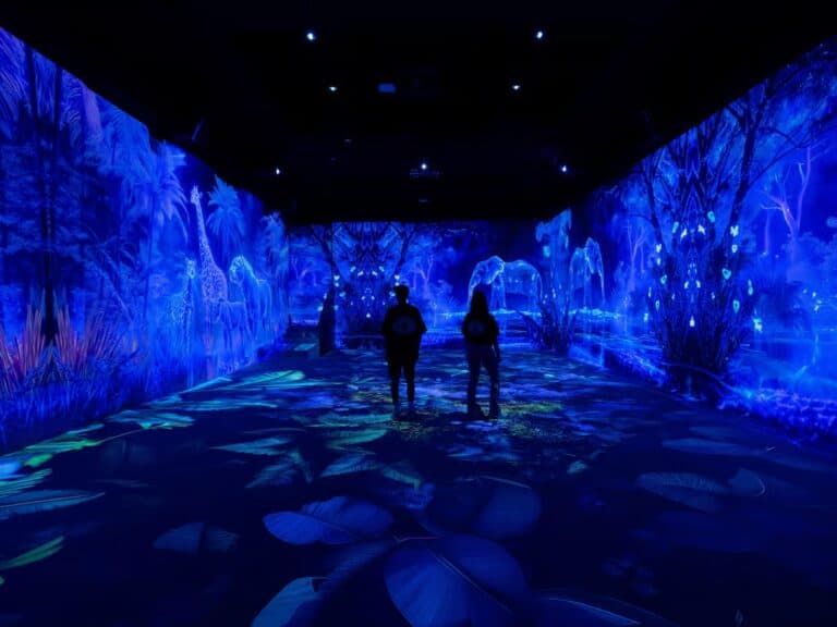 מוזיאון VIDENIE Immersive Art Space בסופיה