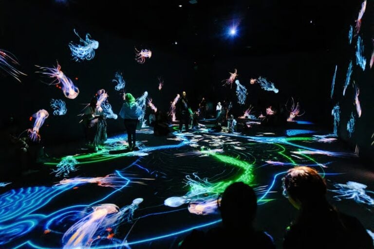 מוזיאון VIDENIE Immersive Art Space בסופיה
